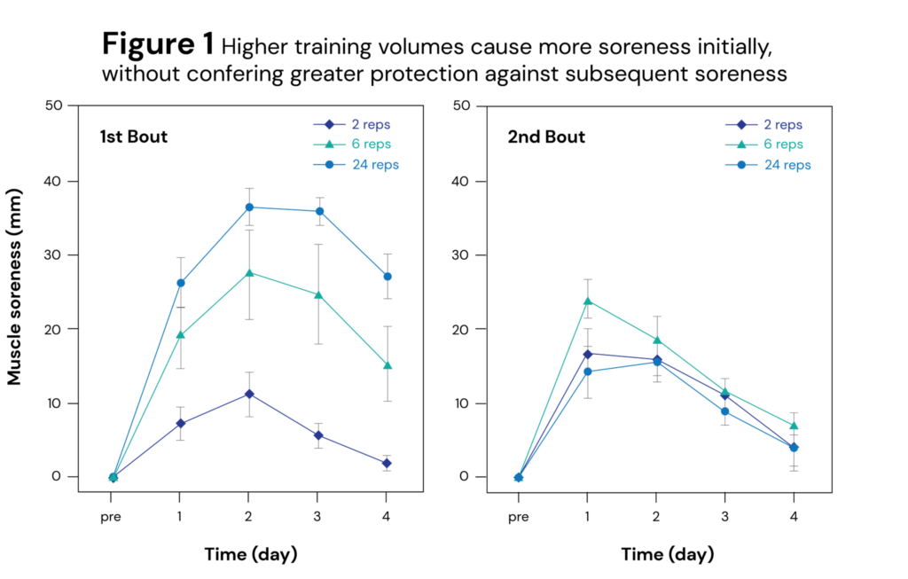 Gráfico comparando o efeito protetor da dor muscular do primeiro treino com séries de 2, 6 e 24 repetições em relação a um segundo treino