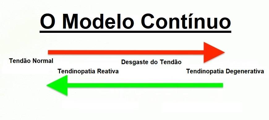 Descrição do modelo contínuo