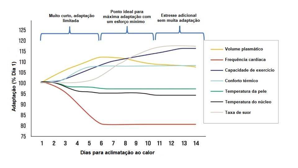 Gráfico do tempo de aclimatação ao calor - Adaptado de PÉRIARD ET AL 2015